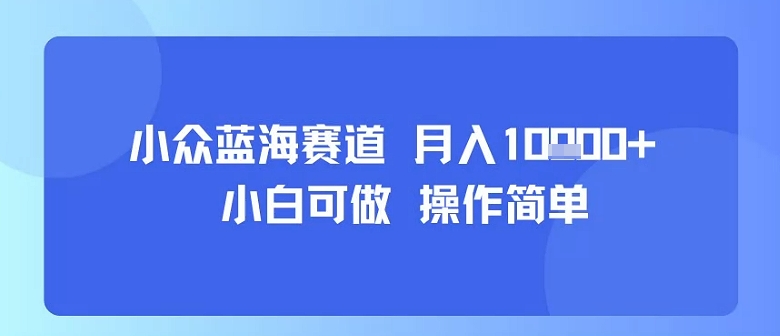 小众蓝海赛道，小白可做，操作简单，每天30分钟，月入1W+-凌云网创