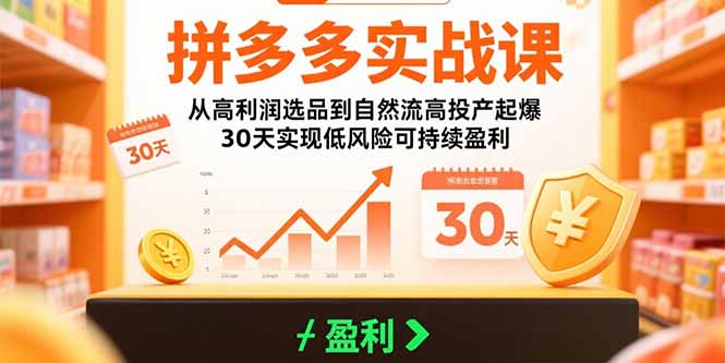 拼多多实战课：从高利润选品到自然流高投产起爆 30天实现低风险可持续盈利-凌云网创