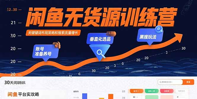 闲鱼无货源训练营：账号准备养号/垂直化选品/黑搜玩法，0基础30天盈利指南-凌云网创