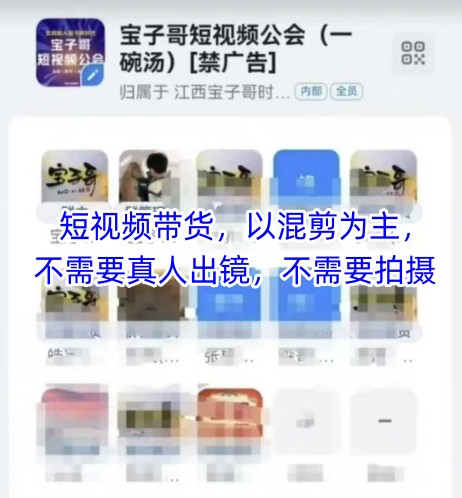 宝子哥头部团队短视频带货，以混剪为主，不需要真人出镜，不需要拍摄【更新8月】-凌云网创