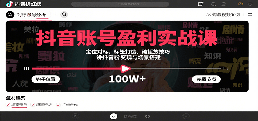 抖音账号盈利实战课，定位对标、标签打造、破播放技巧，讲涨粉变现与场景搭建-凌云网创