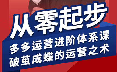 海神·拼多多运营进阶系统课(更新8月)-凌云网创