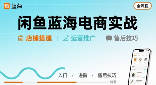 闲鱼蓝海电商实战,店铺搭建运营售后全流程-凌云网创