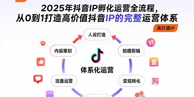 2025年抖音IP孵化运营全流程，从0到1打造高价值抖音IP的完整运营体系-凌云网创