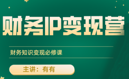 有有老师·财务IP变现营，财务知识变现必修课-凌云网创