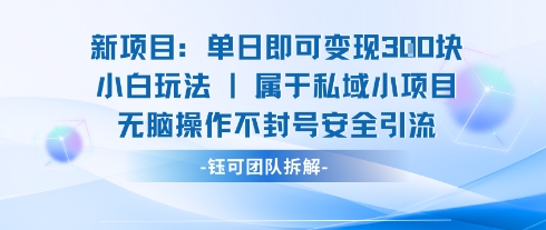 新项目单日即可变现3张的小白玩法无脑操作不封号安全引流-凌云网创